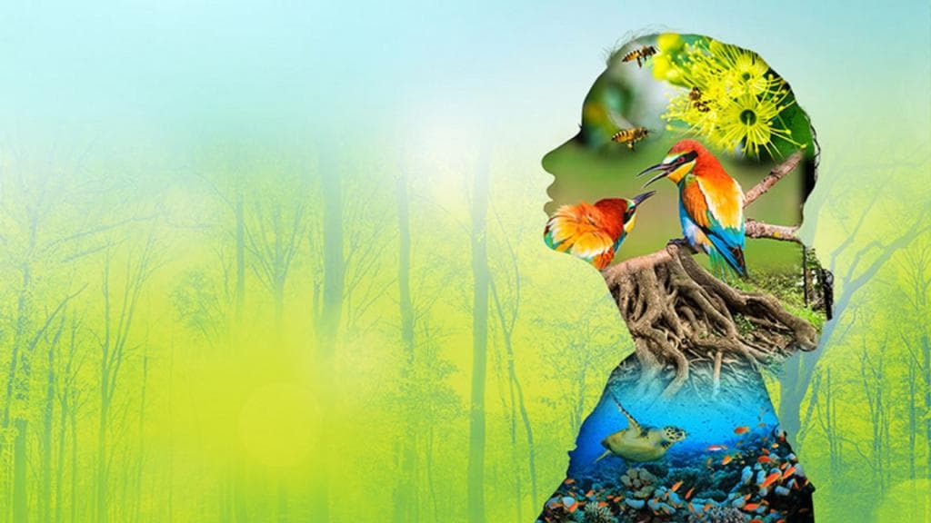 Biodiversity & Environmental Risk Advisory - environmental governance advisory service