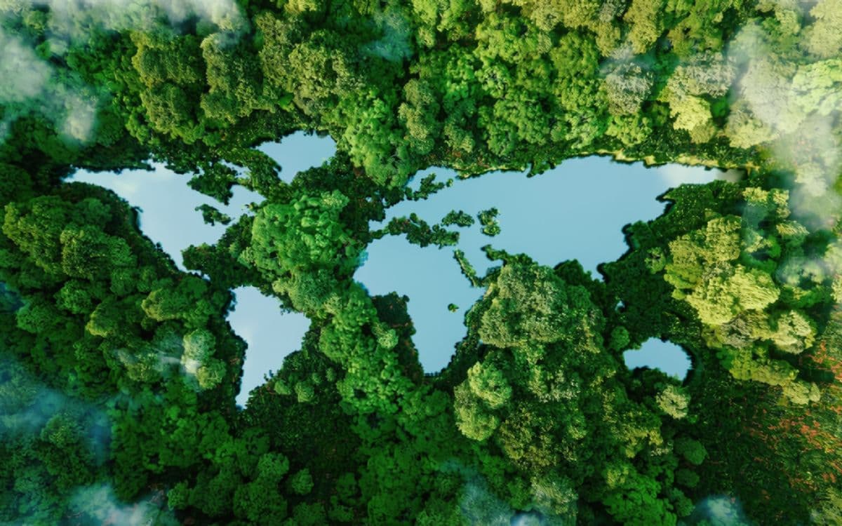 Climate & Environmental Governance - environmental governance advisory service