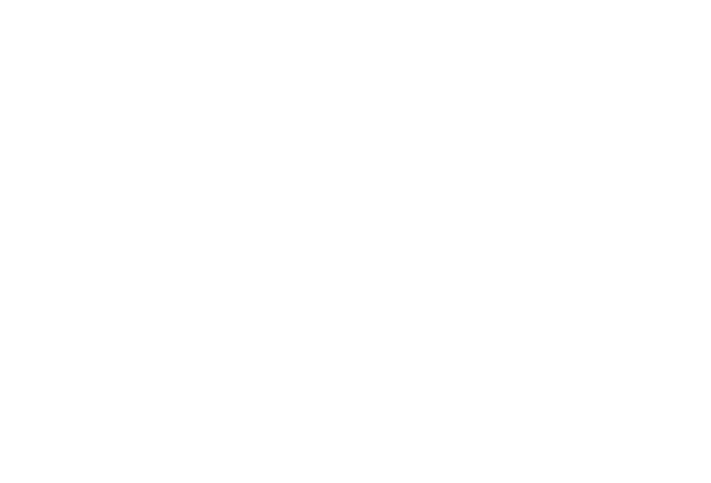EcoPulse Strategies Logo
